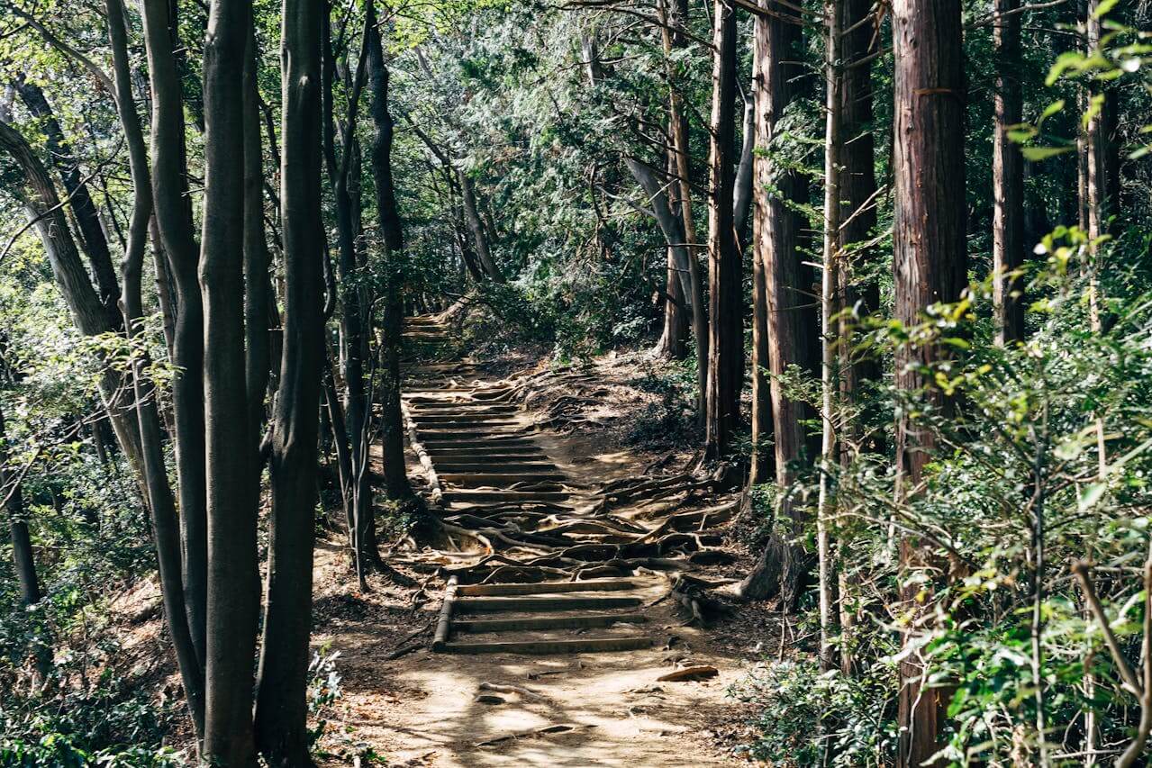Mount Takao Adventure: Exploring Nature's Sanctuary near Tokyo
