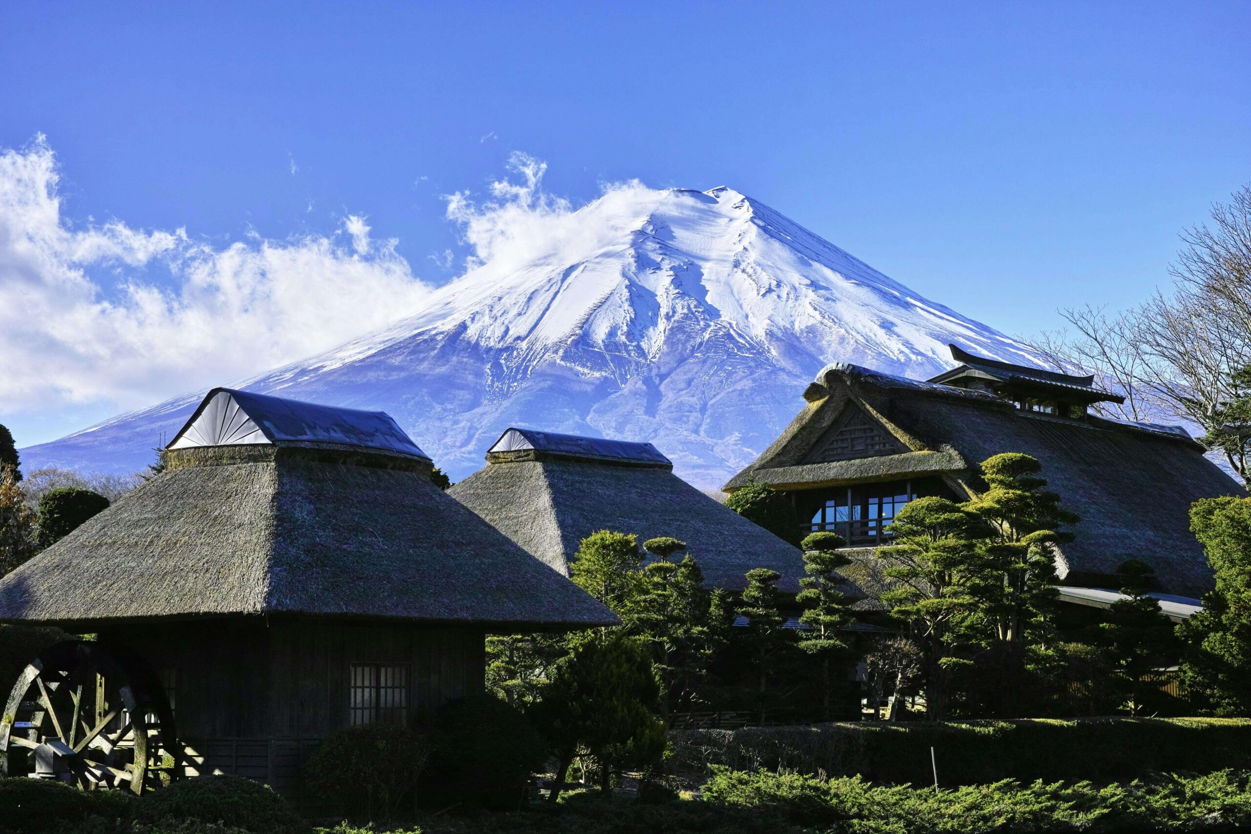 Mt Fuji: Day Tour - A Journey to Japan's Sacred Peak