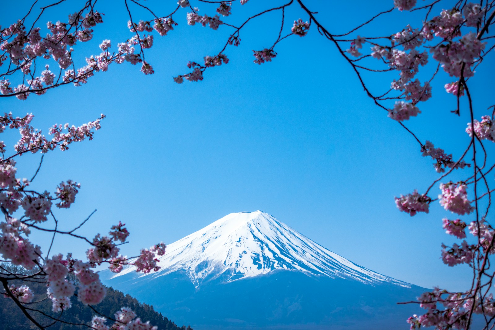 Mount Fuji